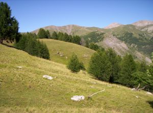 Montagna.jpg - 15.26 Kb