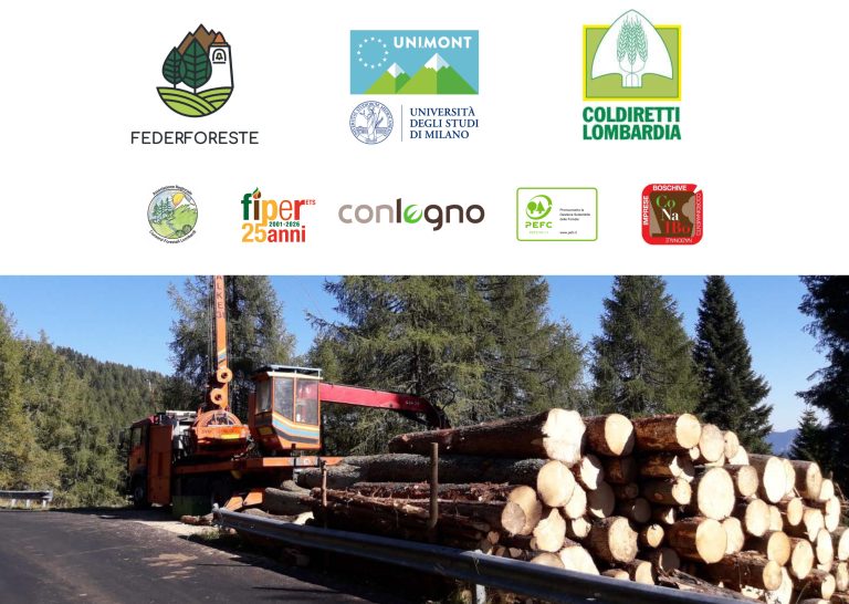 FORESTE CHE CAMBIANO, FILIERE CHE CRESCONO
